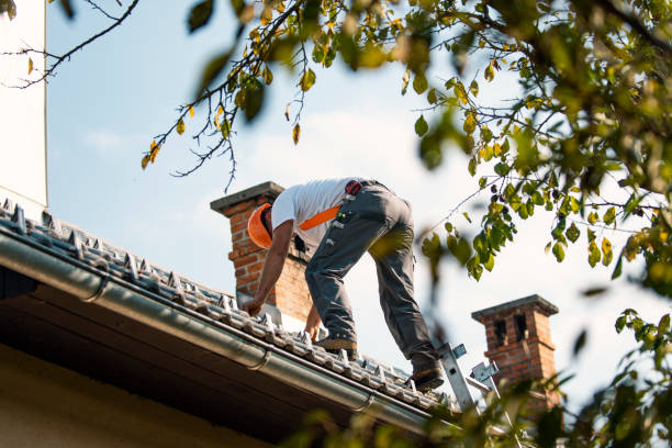 Best Roofing Contractor Near Me  in New Lisbon, WI