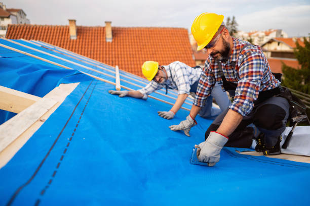 Roof Gutter Cleaning in New Lisbon, WI