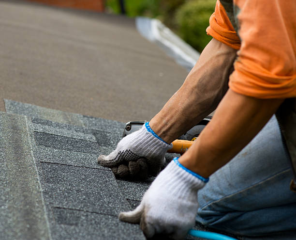 Best Metal Roofing Contractor  in New Lisbon, WI